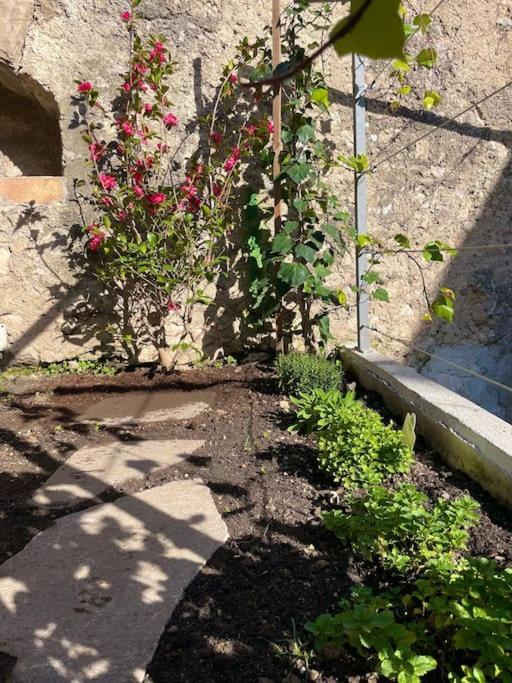 Ferienhaus Giovanna's Home, Historic Town House With Garden *
